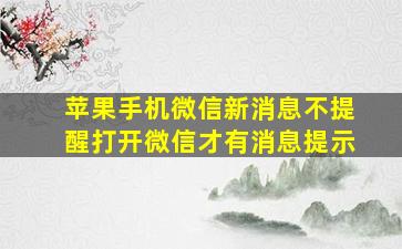 苹果手机微信新消息不提醒打开微信才有消息提示