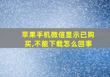 苹果手机微信显示已购买,不能下载怎么回事