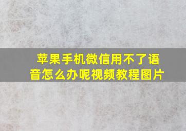 苹果手机微信用不了语音怎么办呢视频教程图片