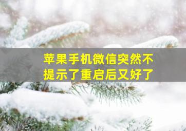 苹果手机微信突然不提示了重启后又好了