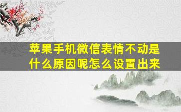 苹果手机微信表情不动是什么原因呢怎么设置出来