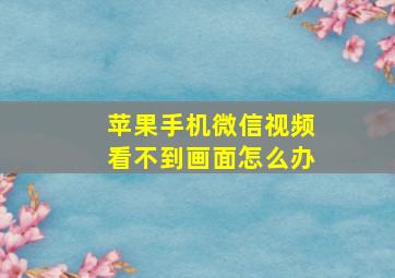 苹果手机微信视频看不到画面怎么办