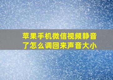 苹果手机微信视频静音了怎么调回来声音大小