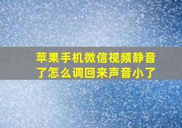 苹果手机微信视频静音了怎么调回来声音小了