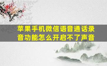 苹果手机微信语音通话录音功能怎么开启不了声音