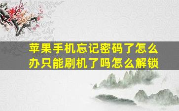 苹果手机忘记密码了怎么办只能刷机了吗怎么解锁