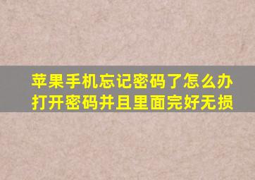 苹果手机忘记密码了怎么办打开密码并且里面完好无损