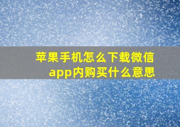 苹果手机怎么下载微信app内购买什么意思