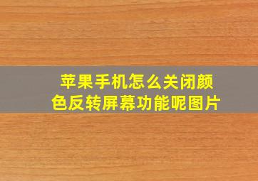 苹果手机怎么关闭颜色反转屏幕功能呢图片