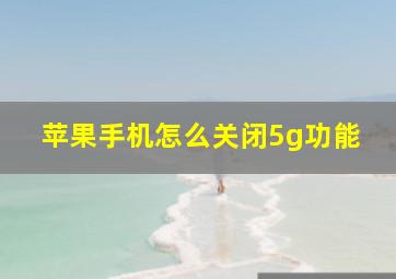 苹果手机怎么关闭5g功能