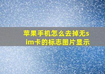 苹果手机怎么去掉无sim卡的标志图片显示