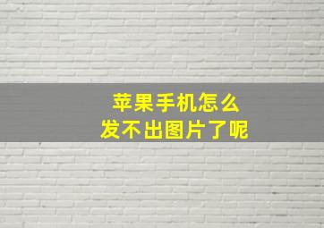 苹果手机怎么发不出图片了呢