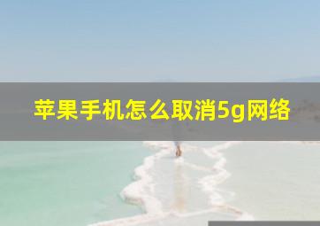 苹果手机怎么取消5g网络