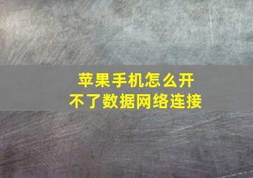 苹果手机怎么开不了数据网络连接