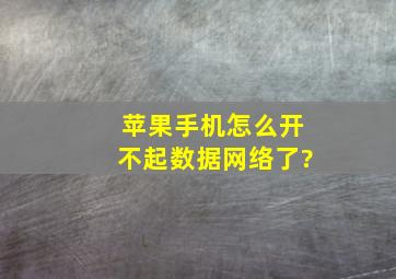 苹果手机怎么开不起数据网络了?