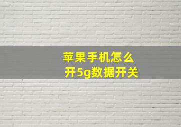 苹果手机怎么开5g数据开关