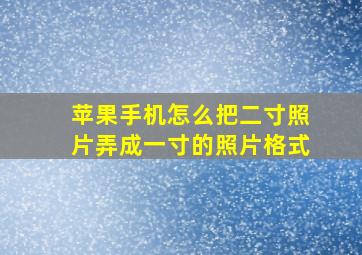 苹果手机怎么把二寸照片弄成一寸的照片格式