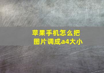 苹果手机怎么把图片调成a4大小