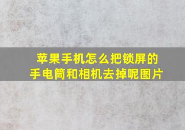 苹果手机怎么把锁屏的手电筒和相机去掉呢图片