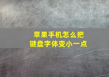 苹果手机怎么把键盘字体变小一点