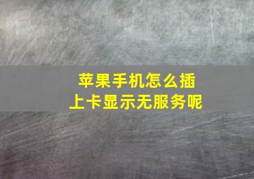 苹果手机怎么插上卡显示无服务呢