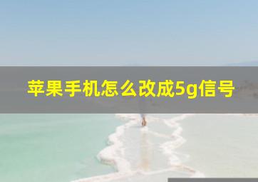 苹果手机怎么改成5g信号