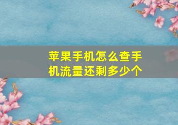 苹果手机怎么查手机流量还剩多少个