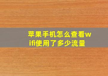 苹果手机怎么查看wifi使用了多少流量