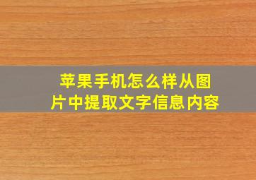 苹果手机怎么样从图片中提取文字信息内容