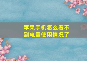 苹果手机怎么看不到电量使用情况了