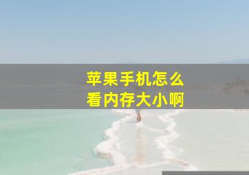 苹果手机怎么看内存大小啊