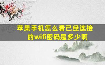 苹果手机怎么看已经连接的wifi密码是多少啊