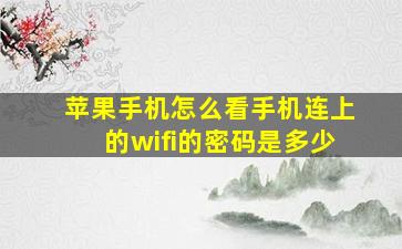 苹果手机怎么看手机连上的wifi的密码是多少