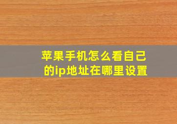 苹果手机怎么看自己的ip地址在哪里设置