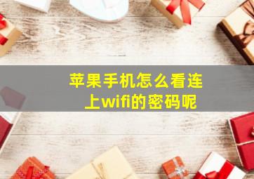 苹果手机怎么看连上wifi的密码呢