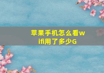 苹果手机怎么看wifi用了多少G