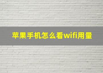 苹果手机怎么看wifi用量