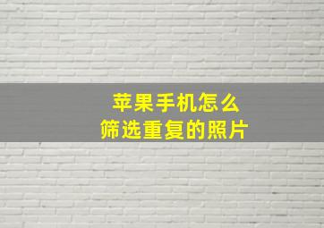 苹果手机怎么筛选重复的照片