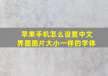 苹果手机怎么设置中文界面图片大小一样的字体