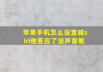 苹果手机怎么设置喊siri他答应了没声音呢