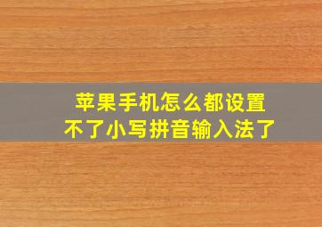 苹果手机怎么都设置不了小写拼音输入法了