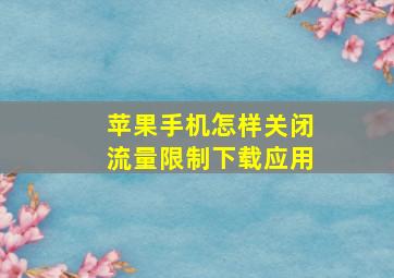 苹果手机怎样关闭流量限制下载应用