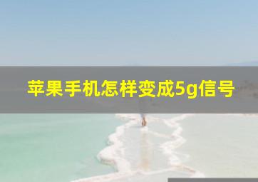 苹果手机怎样变成5g信号