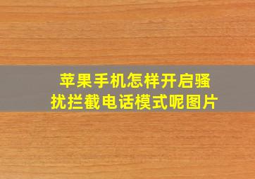 苹果手机怎样开启骚扰拦截电话模式呢图片