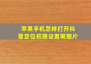 苹果手机怎样打开抖音定位权限设置呢图片