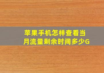 苹果手机怎样查看当月流量剩余时间多少G