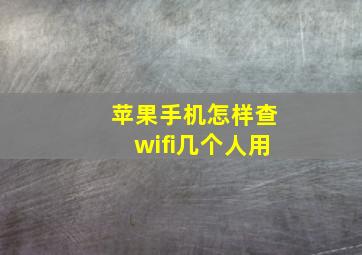 苹果手机怎样查wifi几个人用