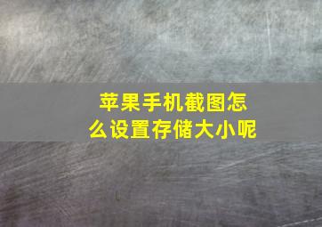 苹果手机截图怎么设置存储大小呢