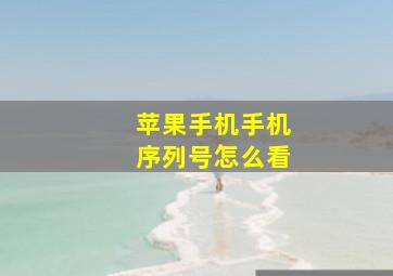 苹果手机手机序列号怎么看