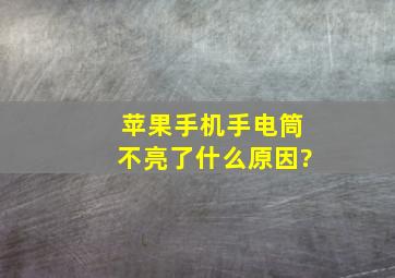 苹果手机手电筒不亮了什么原因?